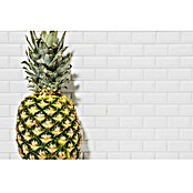 Mozaik pločica Brick Bond Diamond  (30 x 30 cm, Bijele boje, Sjaj) | BAUHAUS
