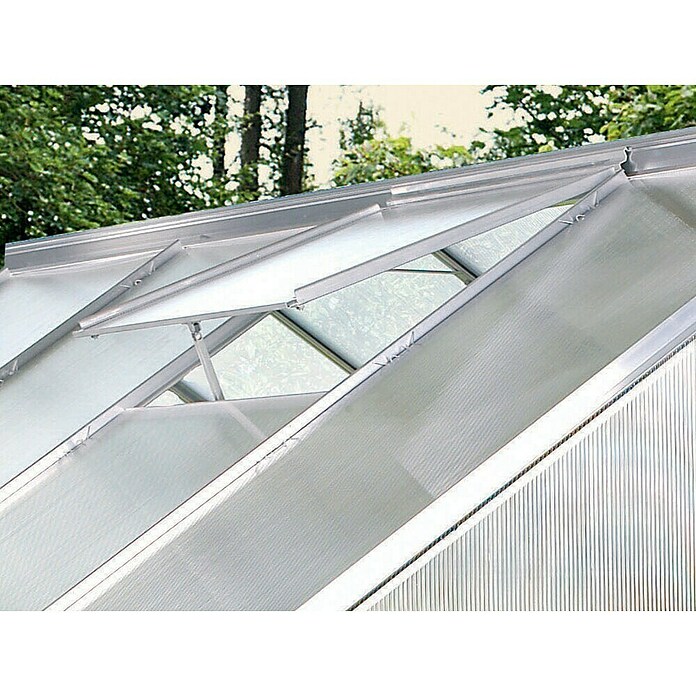 Vitavia Belüftungsfenster (Aluminium, Passend für: Vitavia Gewächshäuser)