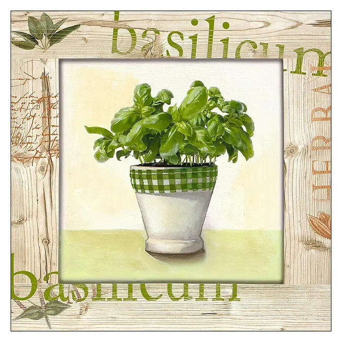 ProArt Leinwandbild Konventionel - Kitchen Garden III, B x H: 30 x 30 cm - Aquarellkunstwerk mit Basilikumpflanze in weißem Topf, umrahmt von Holzrahmen mit Aufschrift „basilicum“.