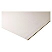 Knauf Ausbauplatte (2.600 x 600 x 9,5 mm)