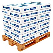 Knauf Masa za fuge  (25 kg) | 5572 - Trockenausbau Chemie | FADD - Trockenausbau | FAD - Baustoffe | FA - Baustoffe | F - Baustoffe | BAUHAUS