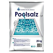 Salinen Austria Poolsalz (25 kg)