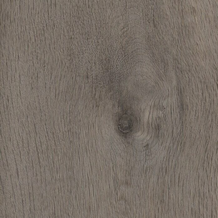 MyStyle MyArt Laminat Anvil Oak (1.285 x 192 x 12 mm, Landhausdiele)