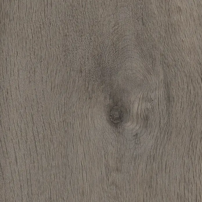 MyStyle MyArt Laminat - Anvil Oak, Landhausdiele, 1.285 x 192 x 12 mm - Nahaufnahme einer grauen Holzstruktur mit feinen Linien und einem dunkleren Astloch, ideal für Möbeloberflächen.