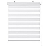 Expo Ambiente Doppelrollo Mini (B x H: 60 x 150 cm, Weiß)