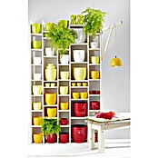SK Okrogli lonec Basel Full Colore  (Zunanje dimenzije (Ø x V): 10 x 8 cm, Bela, Keramika, Sijaj) | 8450 - Übertoepfe Keramik | IAKA - Gefäße Indoor | IAK - Gefässe,Deko outdoor, Zeitschriften | IA - Gartenhartware | I - Stadtgarten | BAUHAUS