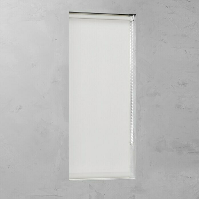Expo Ambiente Rollo (B x H: 115 x 275 cm, Weiß)