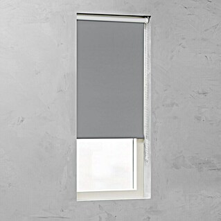Expo Ambiente Verdunkelungsrollo Verdunkelung (B x H: 40 x 190 cm, Grau)