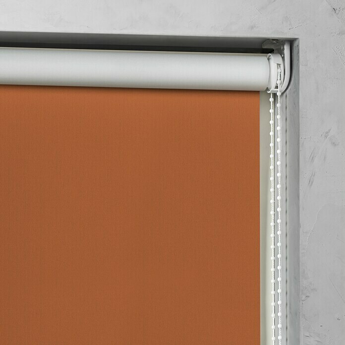 Expo Ambiente Rolgordijn (b x h: 80 x 190 cm, Terracotta, Verduistering)