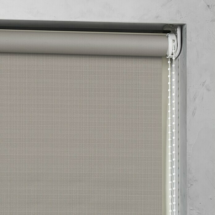 Expo Ambiente Zatemnitveni rolo Nicole  (Š x V: 60 x 190 cm) | 6443 - Textil-Rollos | HDDA - Fenster-Sonnenschutz | HDD - Sonnenschutz | HD - Ambiente | H - Innendeko/Farben | BAUHAUS