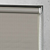 Expo Ambiente Zatemnitveni rolo Nicole  (Š x V: 60 x 190 cm) | 6443 - Textil-Rollos | HDDA - Fenster-Sonnenschutz | HDD - Sonnenschutz | HD - Ambiente | H - Innendeko/Farben | BAUHAUS