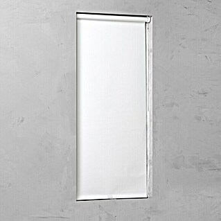 Expo Ambiente Rollo Motorisiert (B x H: 80 x 190 cm, Weiß, Uni, Verdunkelnd)