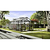 Vitavia Gewächshaus (5,38 x 2,56 x 2,5 m, Farbe: Schwarz, Einscheibensicherheitsglas (ESG), 3 mm)