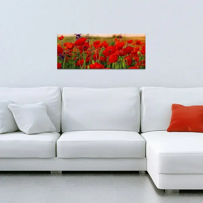 Glasbild - Summer Poppy Field, B x H: 125 x 50 cm - Ein Panorama-Leinwandbild von roten Mohnblumen ziert eine Wand über einem weißen Ecksofa mit roten und weißen Kissen.
