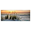 ProArt Maritime Glasbild (Lonely Dune, 80 x 30 cm)
