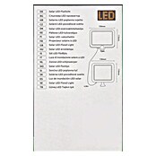 BAUHAUS LED-Solar-Außenwandleuchte (Bewegungsmelder, Kaltweiß, IP44) | BAUHAUS