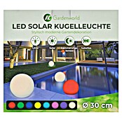 LED-Solar-Dekoleuchte (Weiß, 30 x 27 cm) | BAUHAUS