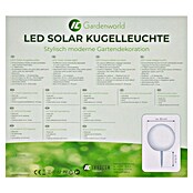 LED-Solar-Dekoleuchte (Weiß, 30 x 27 cm) | BAUHAUS