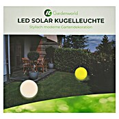 LED-Solar-Dekoleuchte (Weiß, 40 x 38 cm) | BAUHAUS