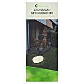 LED-Solarstein (Weiß, L x B x H: 30 x 40 x 16 cm) | BAUHAUS