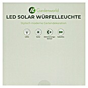 LED-Solar-Würfelleuchte (30 x 30 x 30 cm) | BAUHAUS