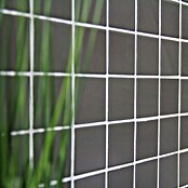 Mosaikfliese Quadrat Uni CD 172 (30 x 30 cm, Grau, Matt)