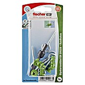 Fischer Greenline Gipskartondübel-Set RH GREEN (Länge Dübel: 22 mm, 5 Stk., Rundhaken)