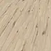 Desperados Oak