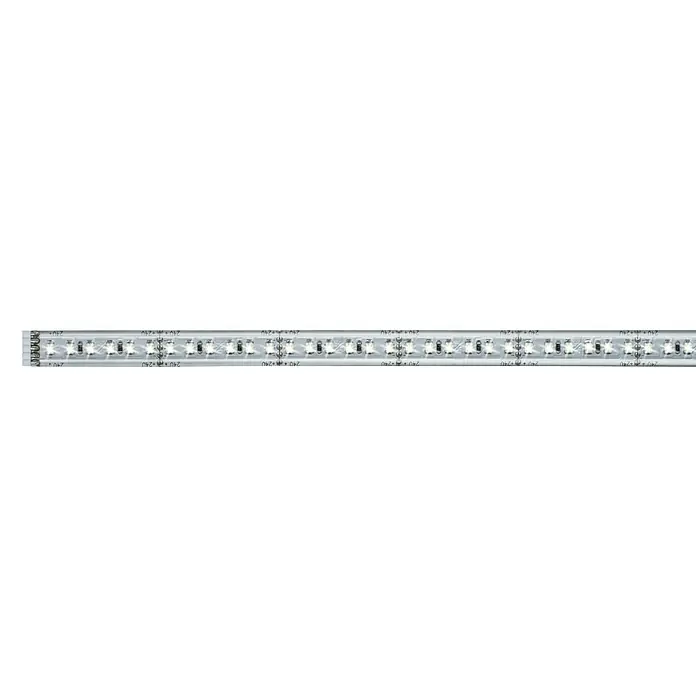 Paulmann MaxLED 1.000 LED-Band Function beschichtet - Länge: 1 m, Lichtfarbe: Warmweiß, 13,5 W, 1.100 lm, Beschichtet - Nahaufnahme eines LED-Streifens, der für seine energieeffiziente Beleuchtung bekannt ist. Ideal für dekorative und funktionale Anwendungen.