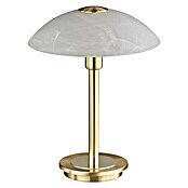 Paul Neuhaus Stolna svjetiljka Enova (S 1 žaruljom, 28 W, Topla bijela, Mat boje mjedi, Visina: 27 cm)