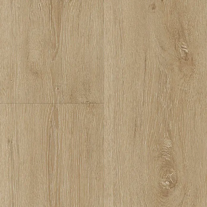 Vinylbodenmuster Sly XL Bristol Oak - 280 x 160 x 7,5 mm, Landhausdiele - Nahaufnahme von hellem, modernem Laminatboden. Die Oberfläche weist eine natürliche Holzstruktur mit feinen Maserungen auf.