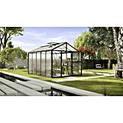 Vitavia Gewächshaus Zeus 10000 (3,89 x 2,56 x 2,5 m, Farbe: Schwarz, Polycarbonat, 16 mm)