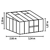 Vitavia Gewächshaus (2,66 x 3,34 x 2,39 m, Farbe: Anthrazit, Einscheibensicherheitsglas (ESG))