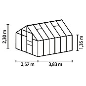Vitavia Gewächshaus Merkur 9900 Plus (3,83 x 2,57 x 2,3 m, Farbe: Anthrazit, Einscheibensicherheitsglas (ESG), 3 mm)