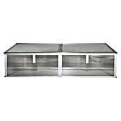 Vitavia Frühbeet Gaia 2X (100 x 120 x 26 cm, Transparent, Polycarbonat)