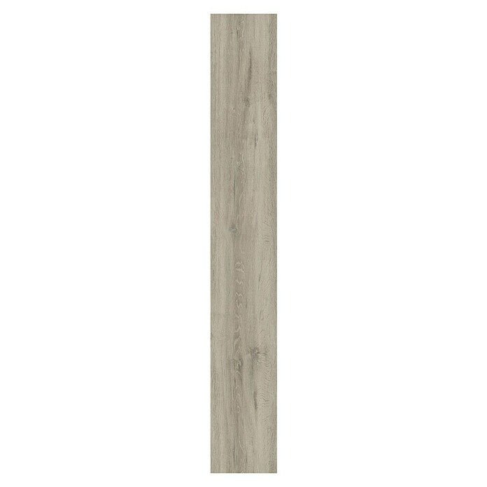 Vinylboden Sly XL Aberdeen Oak (1.510 x 220 x 7,5 mm, Landhausdiele)