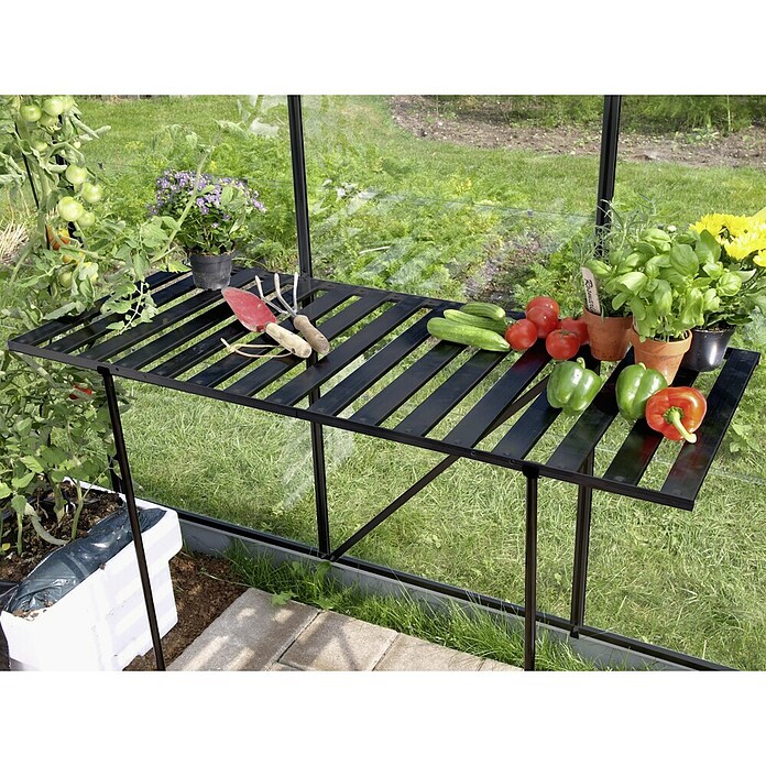 Vitavia Gewächshaus-Mehrzwecktisch (56 x 120 x 81 cm, Schwarz, Abklappbar)
