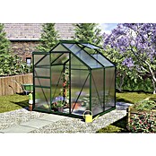 Vitavia Gewächshaus (1,58 x 1,95 x 2,07 m, Farbe: Smaragd, Polycarbonat, 4 mm)