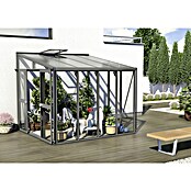 Vitavia Gewächshaus (2,66 x 2,71 x 2,39 m, Farbe: Anthrazit, Einscheibensicherheitsglas (ESG))
