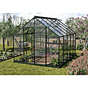 Vitavia Gewächshaus (3,21 x 2,57 x 2,3 m, Farbe: Smaragd, Einscheibensicherheitsglas (ESG), 3 mm)