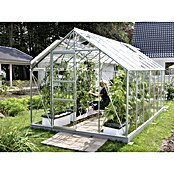 Vitavia Gewächshaus (4,45 x 2,57 x 2,3 m, Farbe: Aluminium, Einscheibensicherheitsglas (ESG), 3 mm)