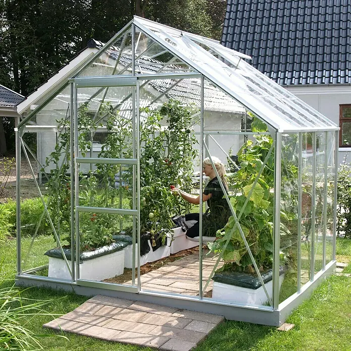 Vitavia Gewächshaus Merkur 6700 Plus - Außenmaß inkl. Dachüberstand (B x T): 257 x 258 cm, 3 mm, Aluminium - Nahaufnahme eines Gewächshauses mit Pflanzen darin und einer Person, die sich um sie kümmert.