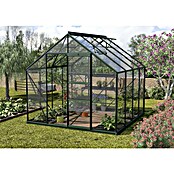 Vitavia Gewächshaus Merkur 6700 Plus (2,58 x 2,57 x 2,3 m, Farbe: Smaragd, Einscheibensicherheitsglas (ESG), 3 mm)