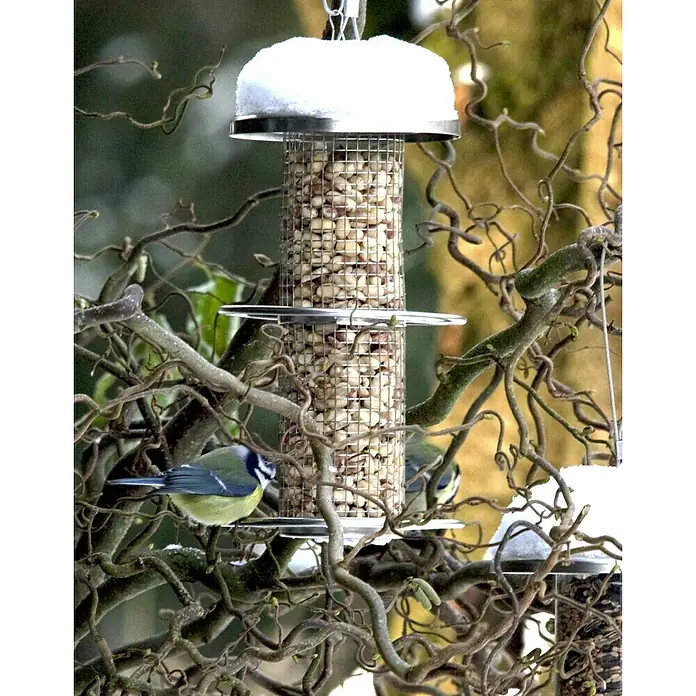 Dobar Futtersäule - Ø x H: 6,7 x 26 cm, Metall - Ein hängender Vogelfutterspender aus Metall, gefüllt mit Erdnüssen, umgeben von Ästen mit zwei Blaumeisen.