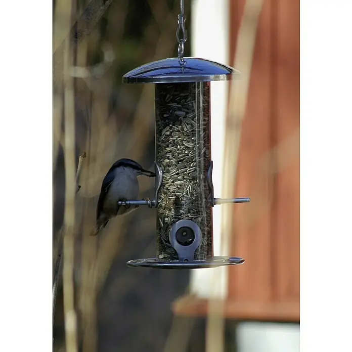 Dobar Futtersäule - Metall, Ø x H: 14 x 26 cm - Eine Nahaufnahme eines Vogels, der an einem durchsichtigen Vogelfutterspender mit Sonnenblumenkernen sitzt und frisst.
