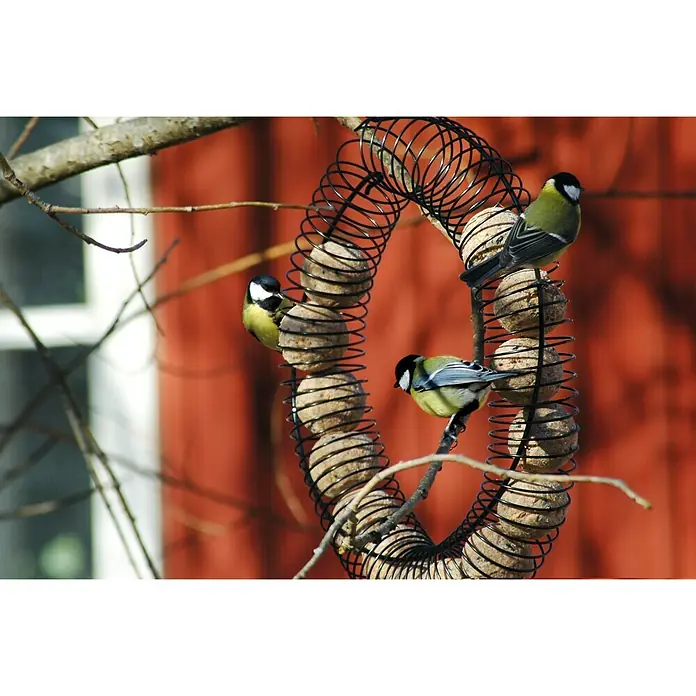 Dobar Riesenfutterring Bankett - 41 x 30 x 6,5 cm - Nahaufnahme von drei Blaumeisen, die an einem spiralförmigen Futterspender mit Meisenknödeln sitzen, im Garten.