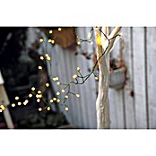 Tween Light Guirnalda luminosa LED (Para exterior, 200 luces, 8 m, Blanco cálido)