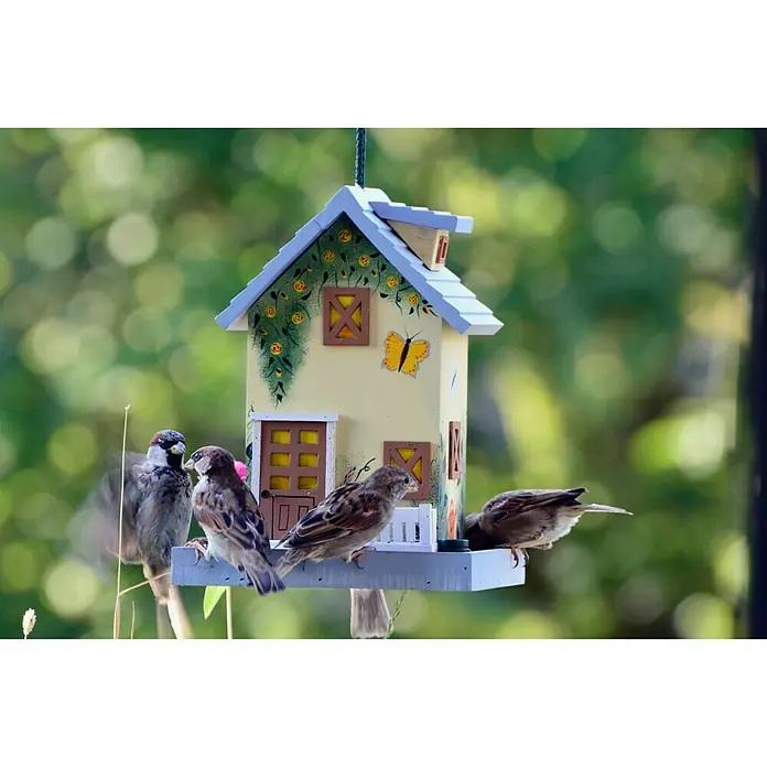 Dobar Vogelhaus Sommer - 18 x 18 x 23 cm - Ein dekoratives Vogelhaus in Hausform mit mehreren Spatzen, die darauf sitzen und fressen. Das Vogelhaus ist gelb und mit Blumen und einem Schmetterling verziert.