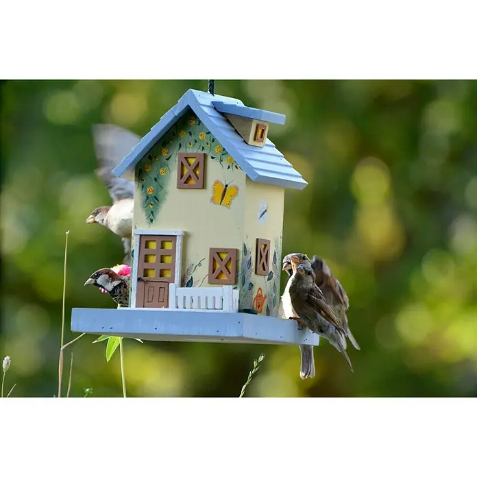 Dobar Vogelhaus Sommer - 18 x 18 x 23 cm - Dekoratives Vogelhaus im Garten mit Spatzen, die Futter suchen. Das Haus hat ein blaues Dach und gelbe Wände.