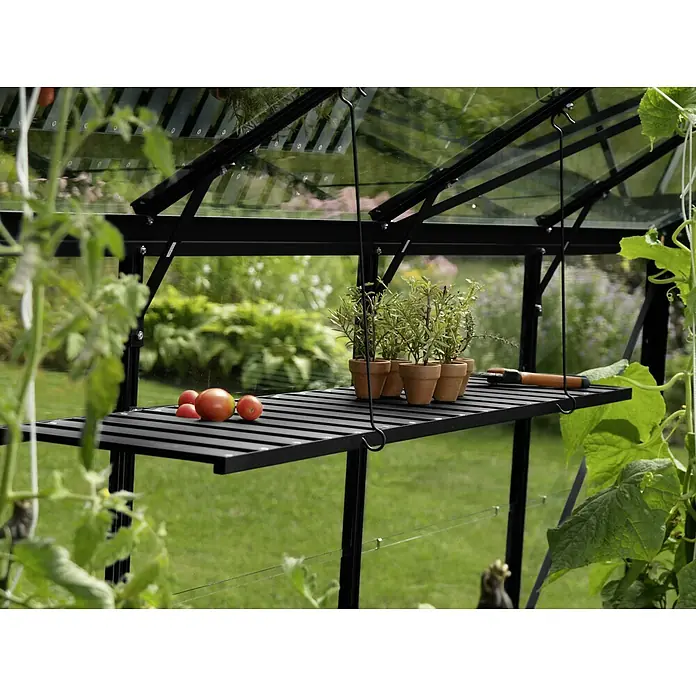 Vitavia Gewächshaus-Regal - Breite: 120 cm, Schwarz - Nahaufnahme eines Gewächshauses mit einem Regal mit Tomaten und Kräutertöpfen.